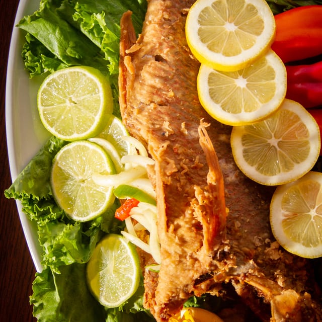 Med Snapper.